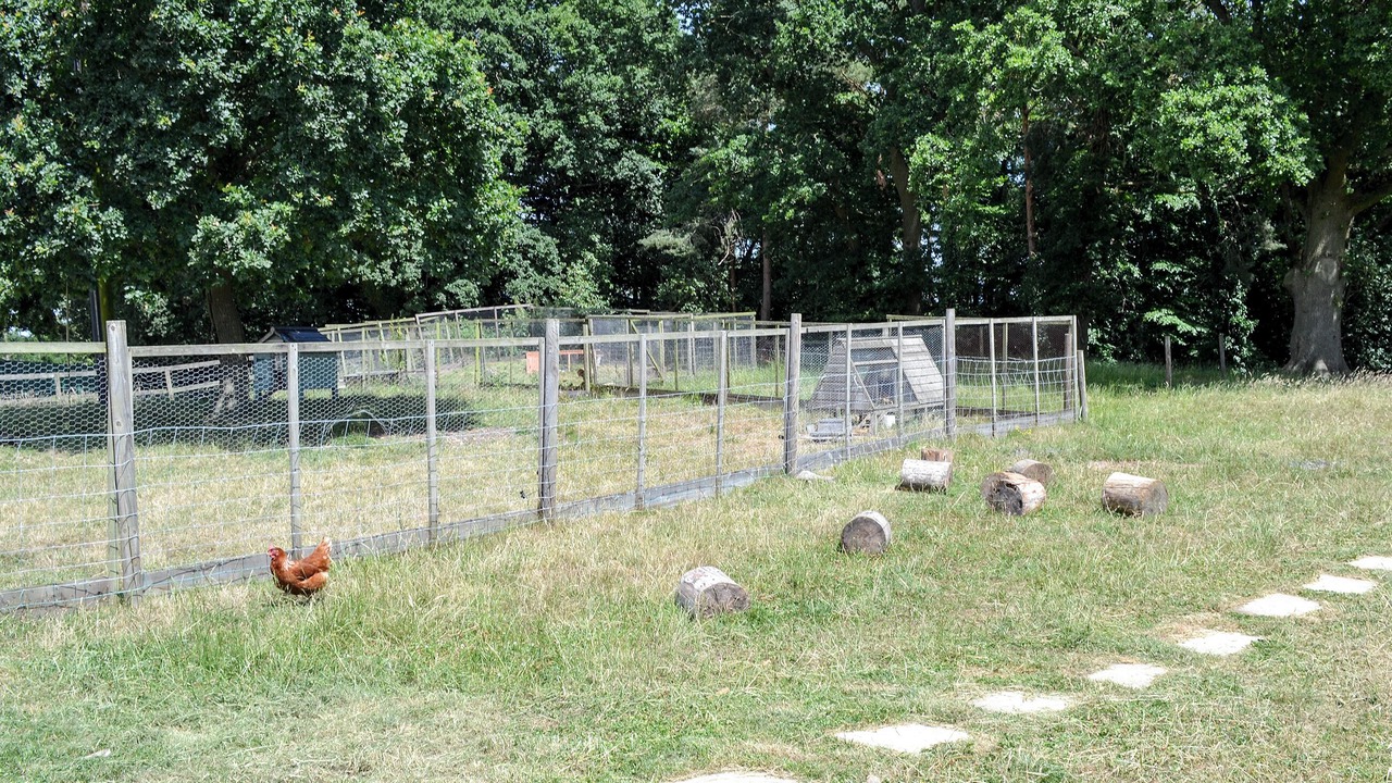 Photo of Others in New Forest District