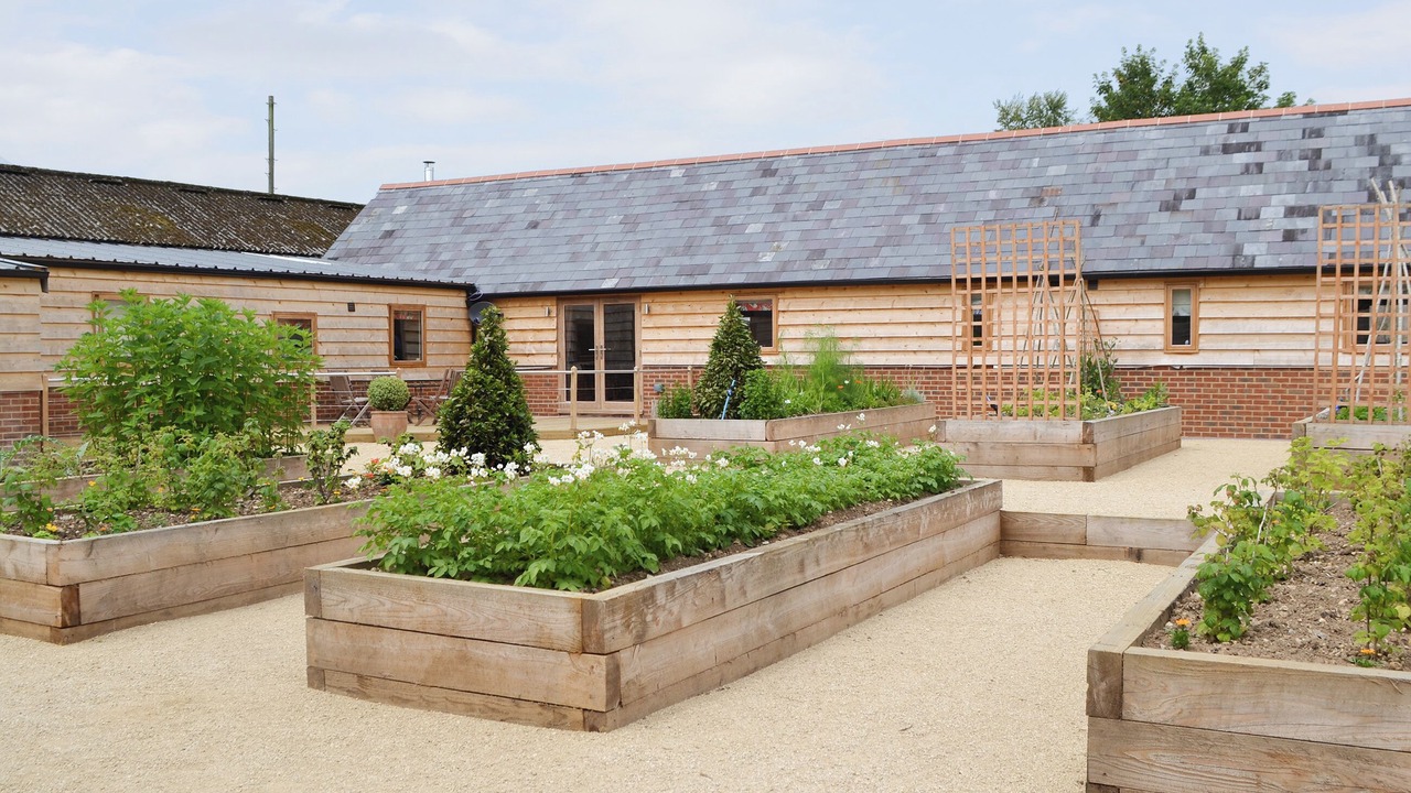 Photo of Outdoor in New Forest District