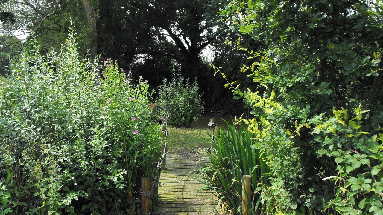 Photo of Others in East Dereham