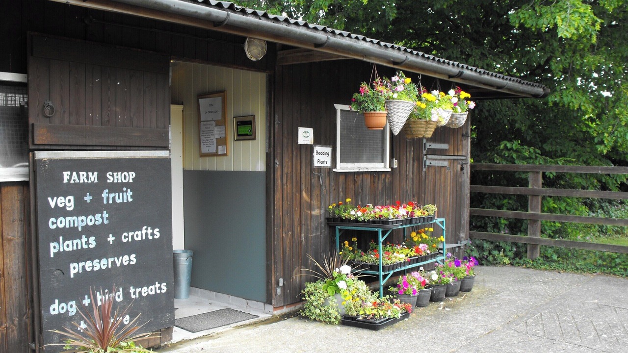 Photo of Others in East Dereham