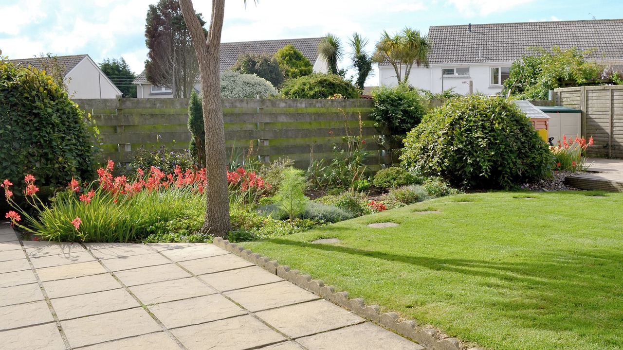 Photo of Others in Newquay