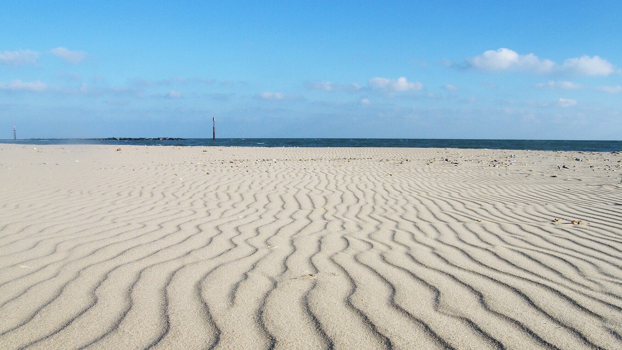 Photo of Others in Sea Palling