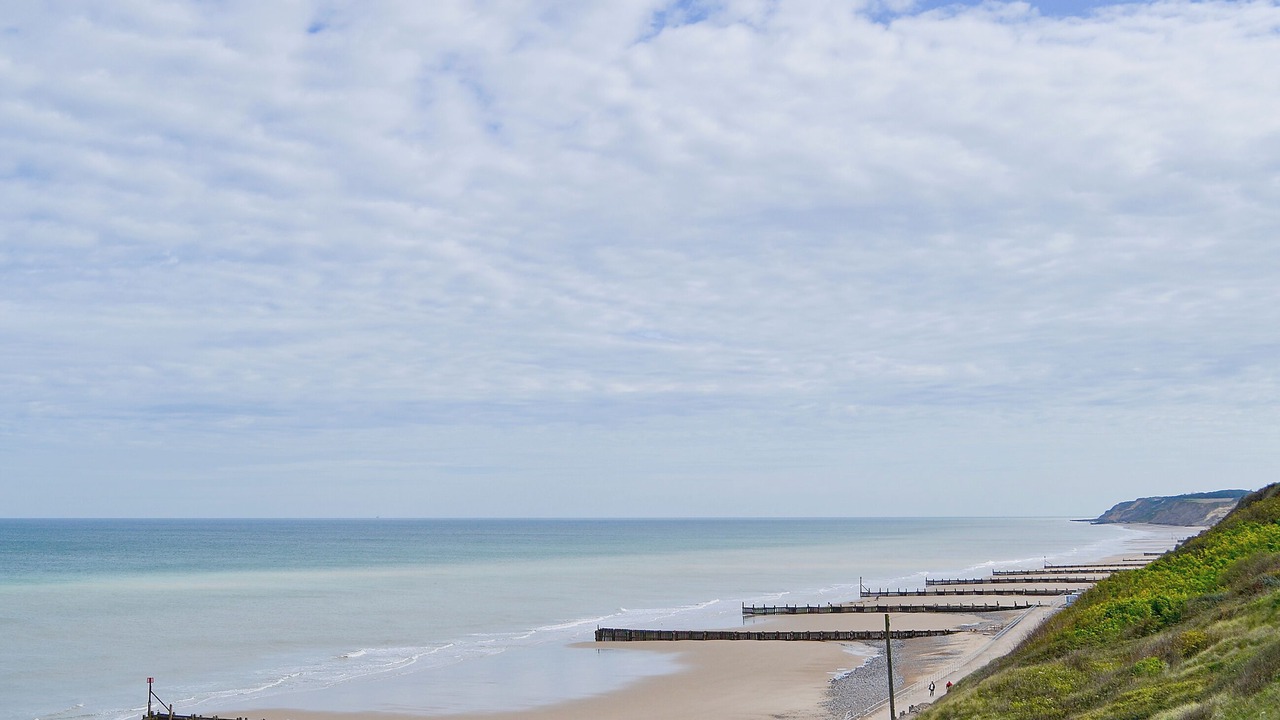 Photo of Others in Norwich