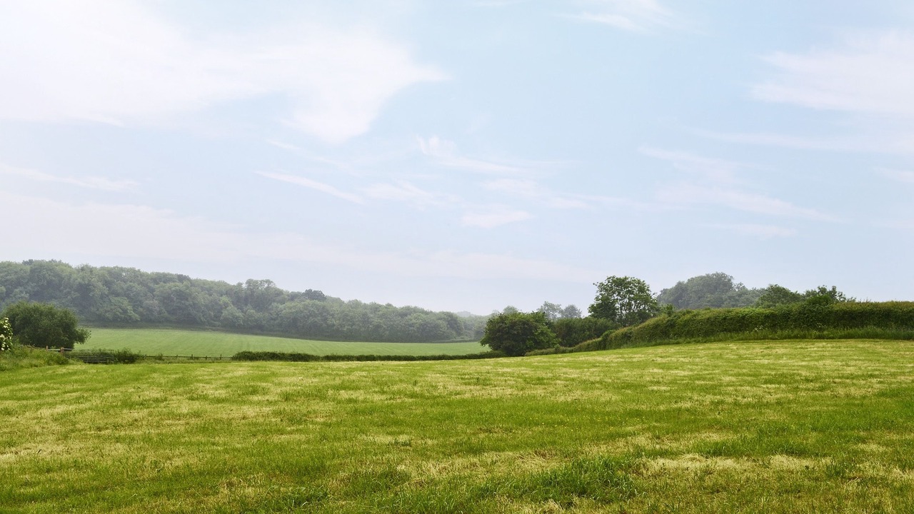 Photo of Others in Liverton