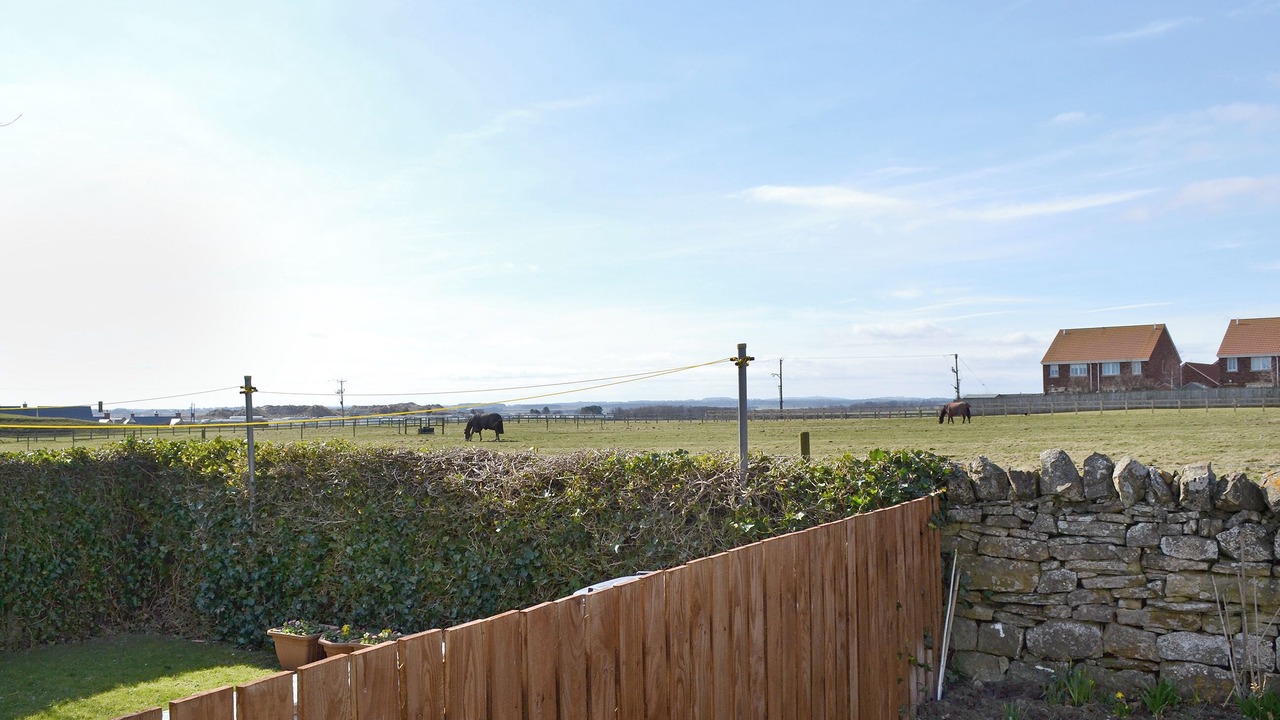 Photo of Outdoor in Beadnell