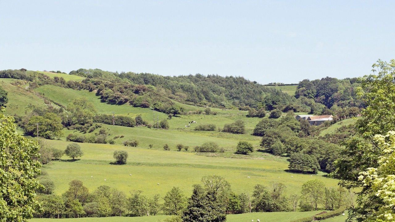 Photo of Others in Glaisdale