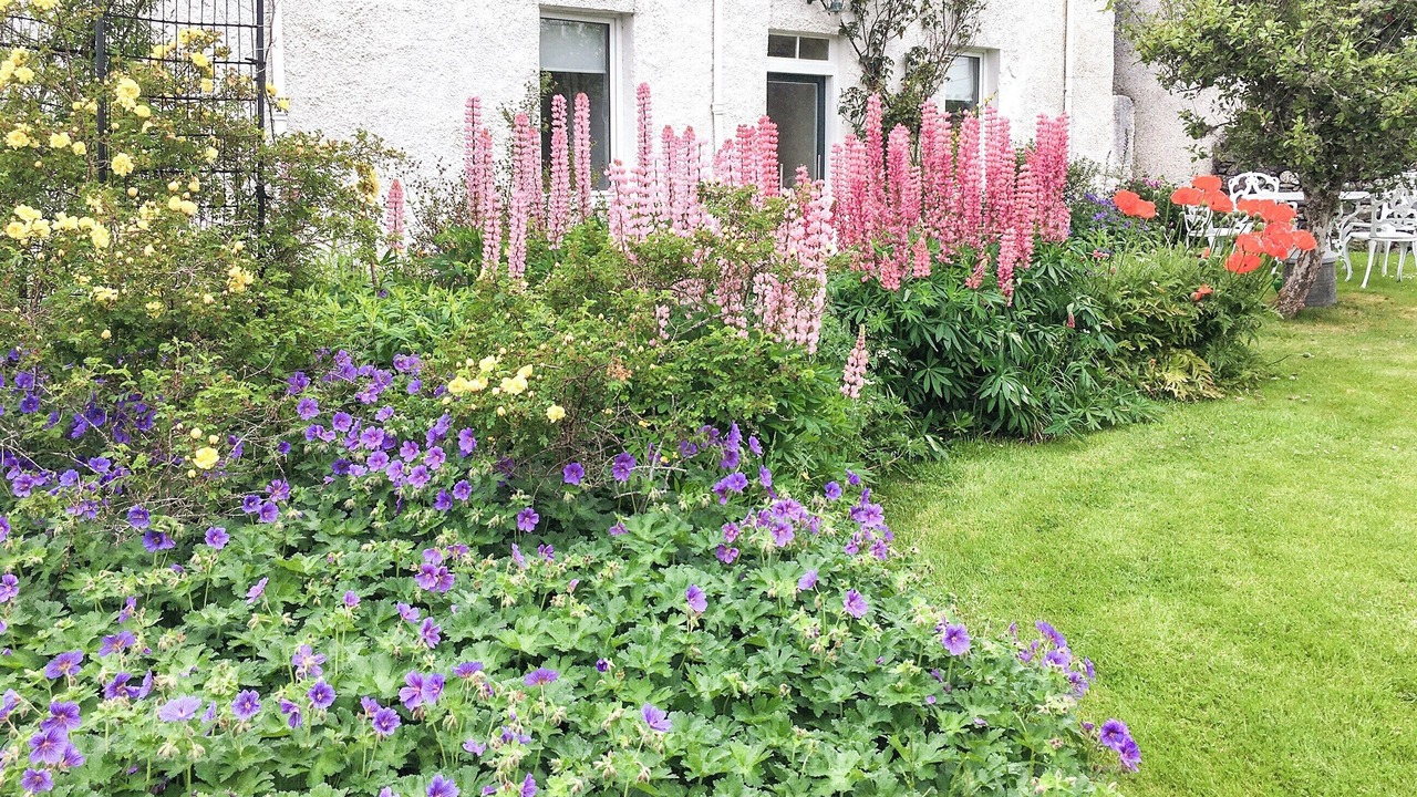 Photo of Outdoor in Blairgowrie