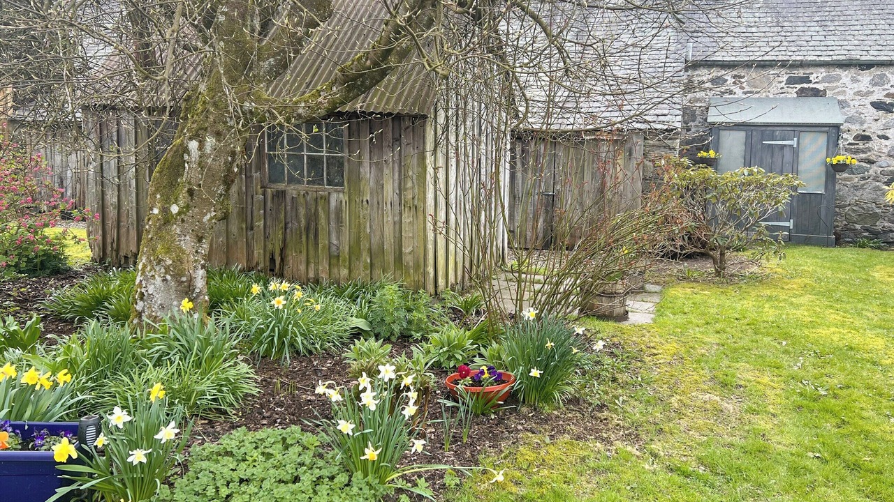 Photo of Outdoor in Blairgowrie