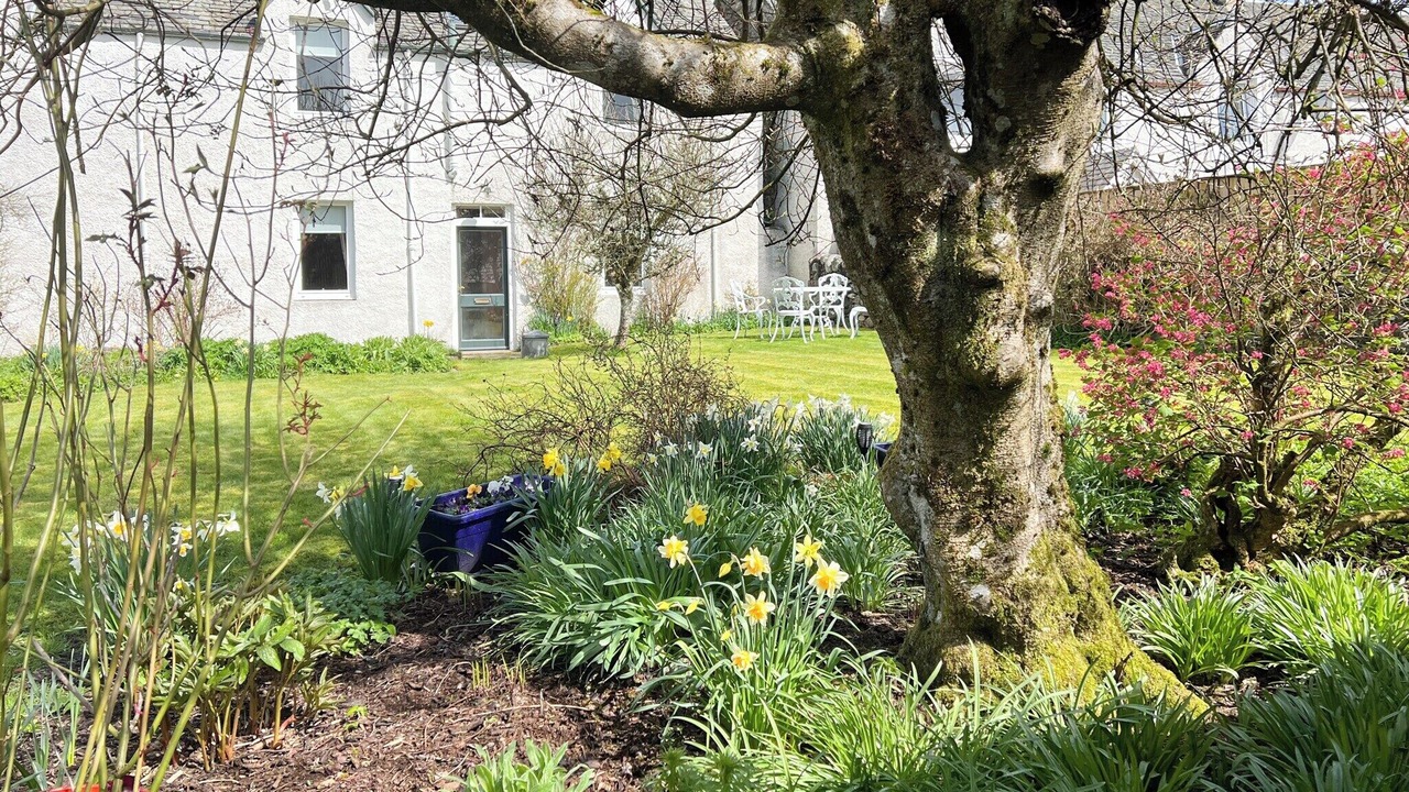 Photo of Outdoor in Blairgowrie