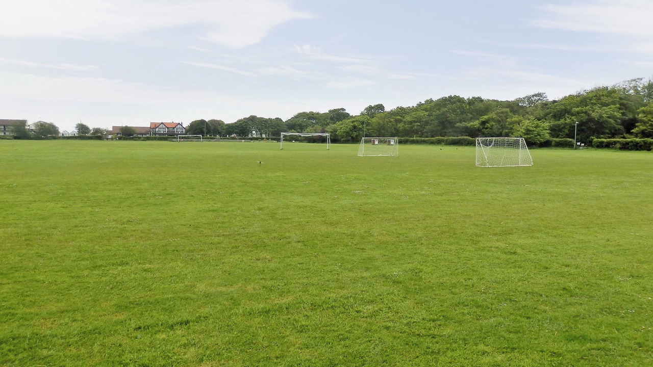 Photo of Others in Corton