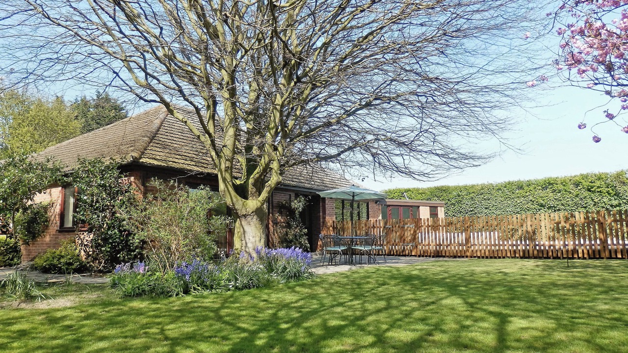 Photo of Others in Corton