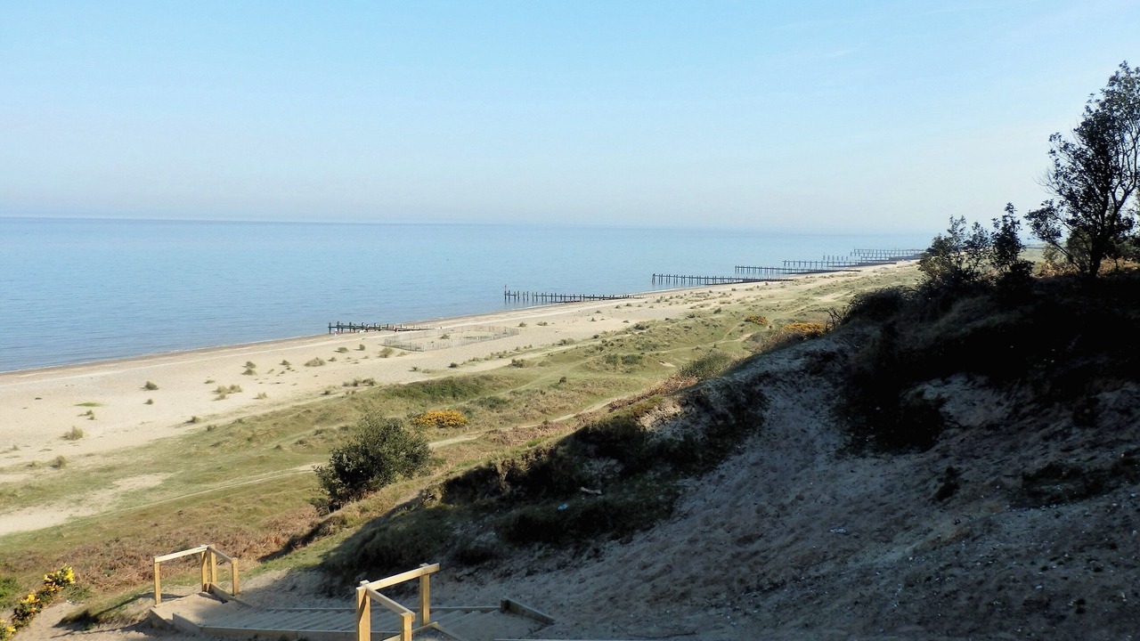 Photo of Others in Corton