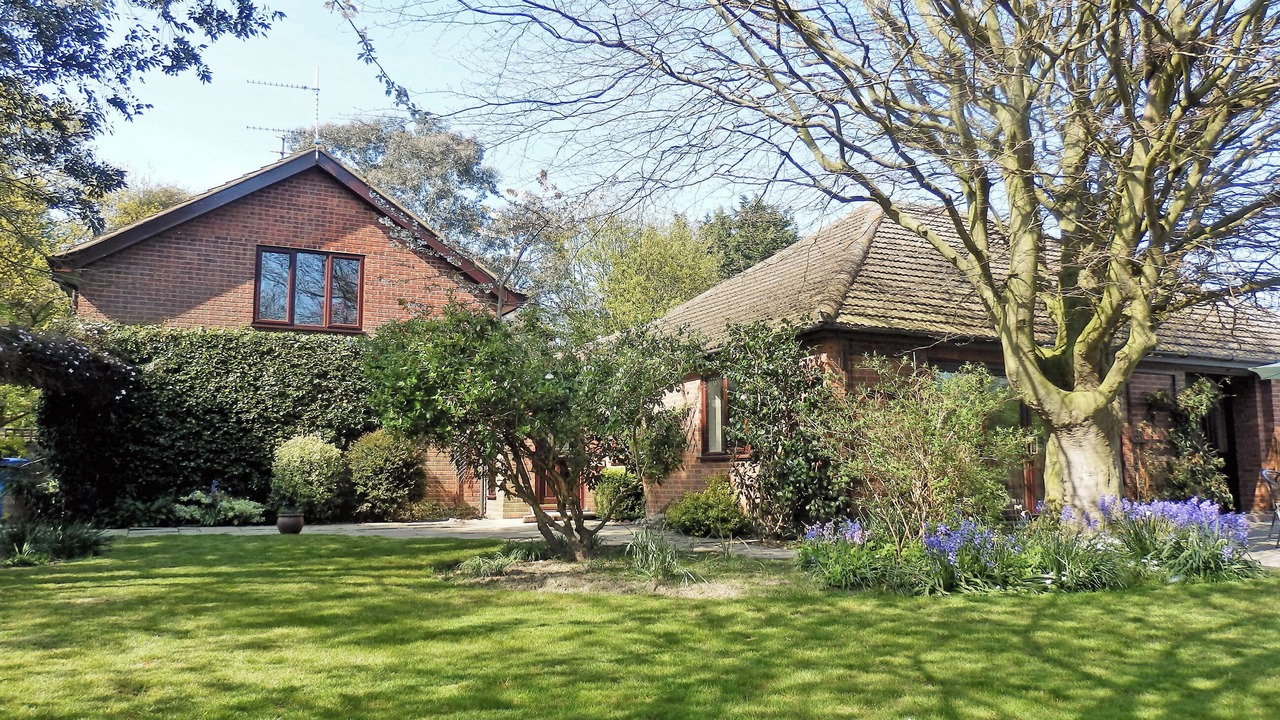 Photo of Others in Corton