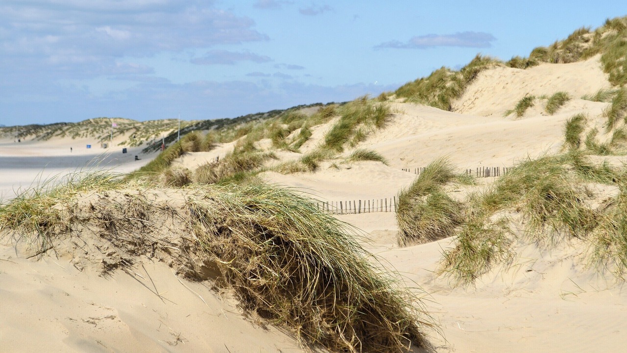 Photo of Others in Old Town Hastings