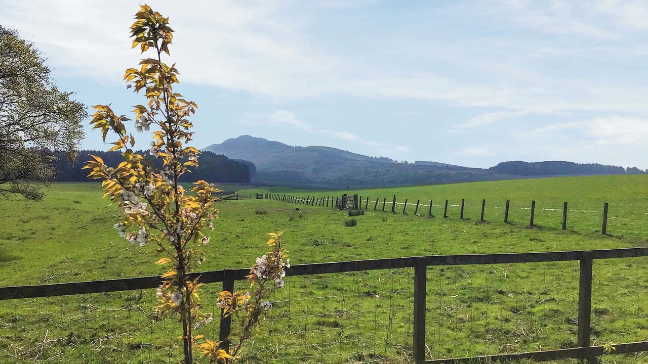 Photo of Others in Denholm