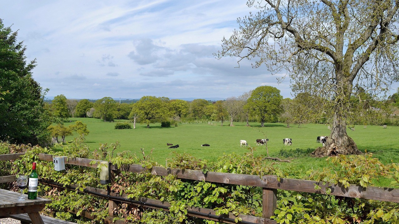 Photo of Others in Welton