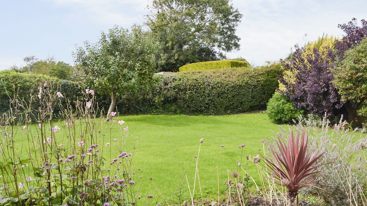 Photo of Outdoor in Barnstaple