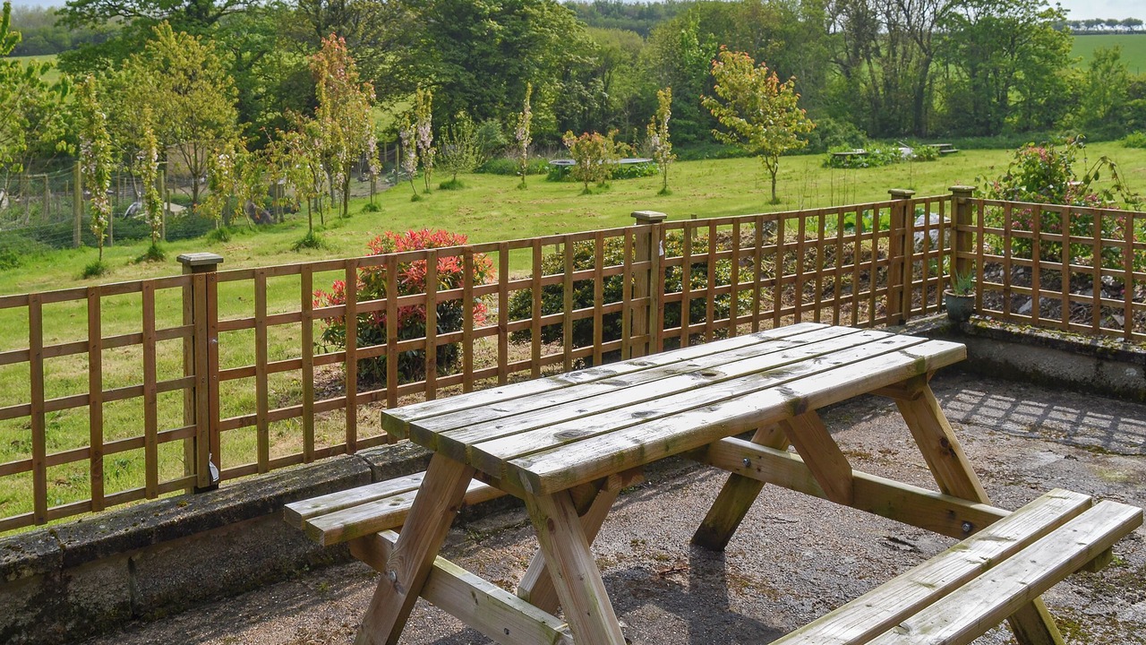 Photo of Outdoor in North Buckland