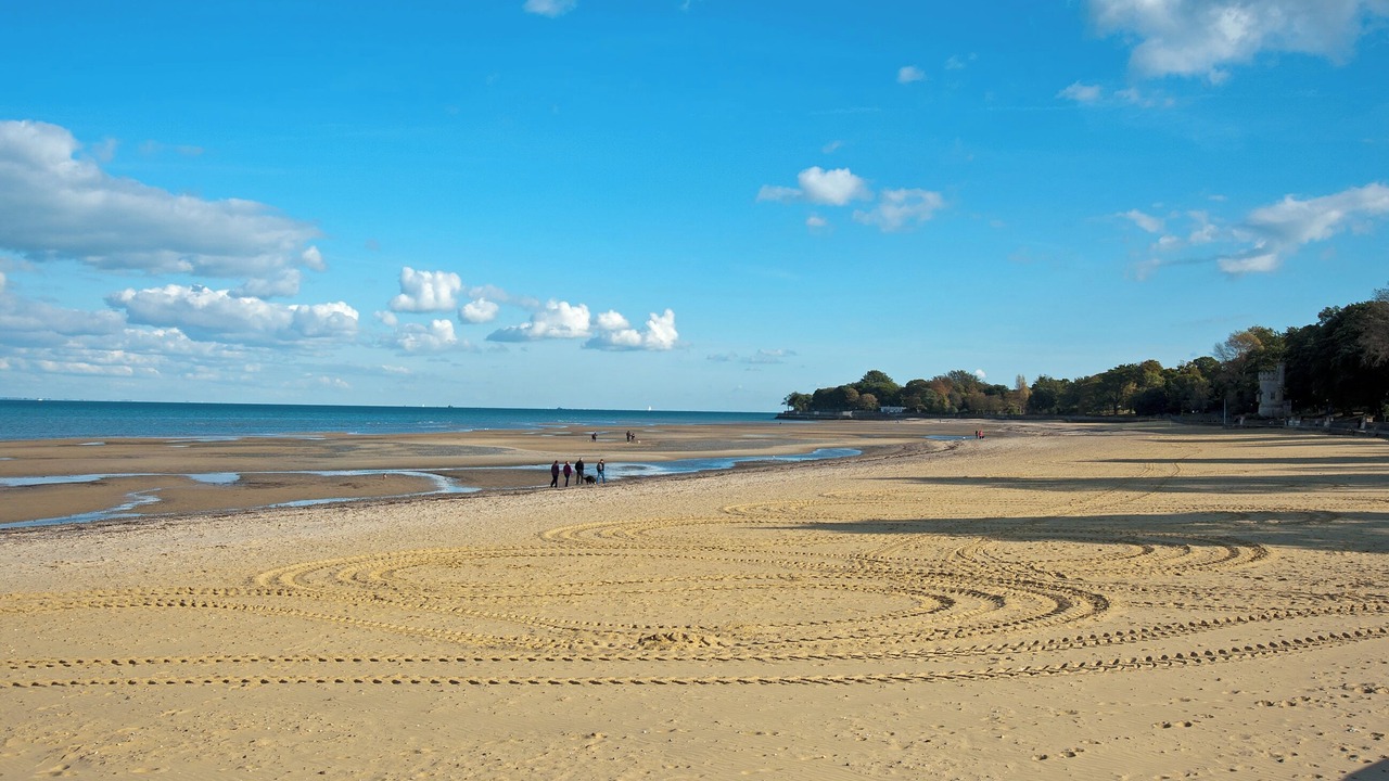 Photo of Others in Ryde