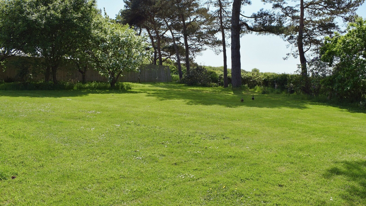 Photo of Others in Ryde