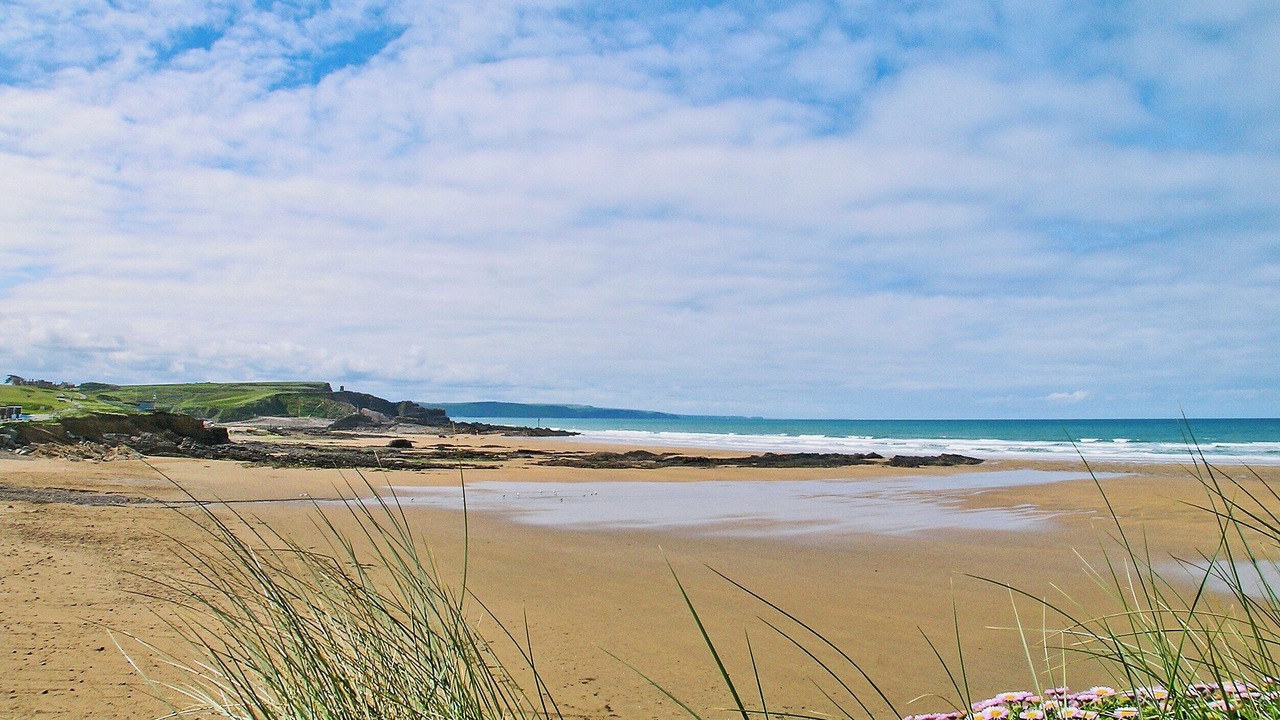 Photo of Others in Black Torrington