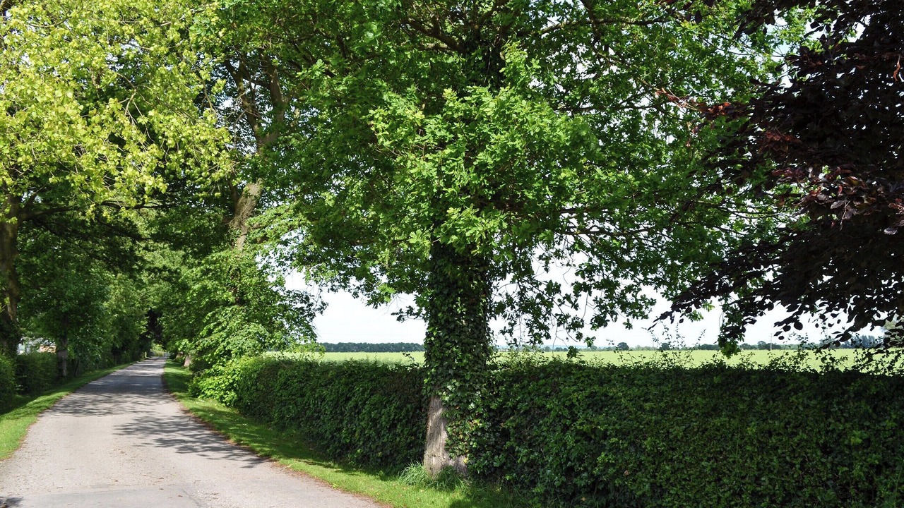 Photo of Others in Eastrington