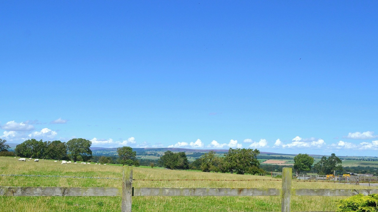 Photo of Others in Barnard Castle