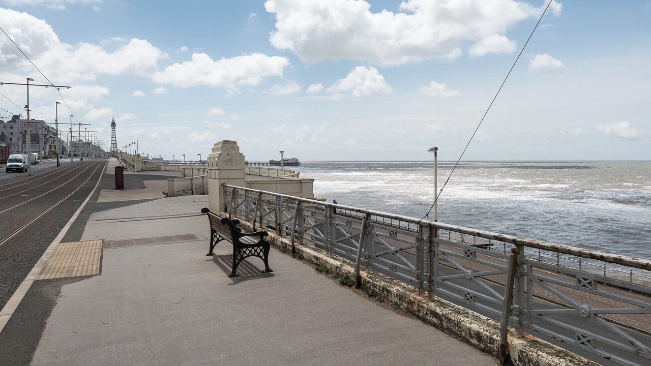 Photo of Others in North Shore