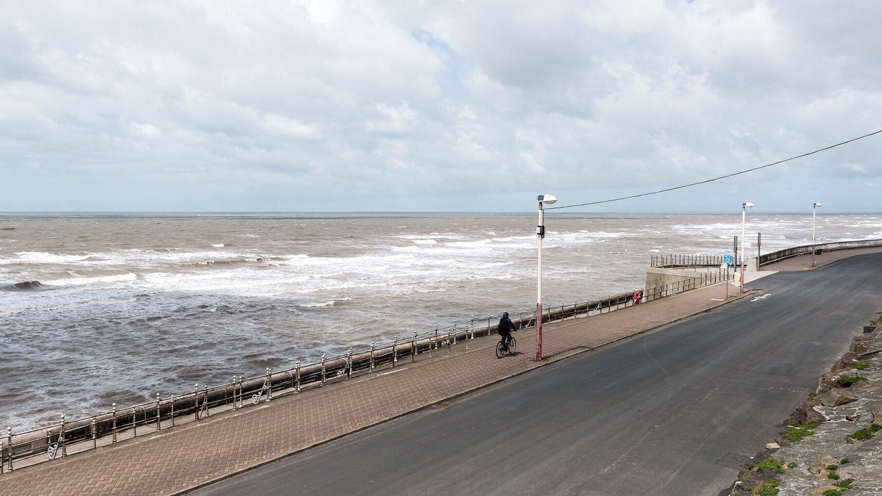 Photo of Others in North Shore