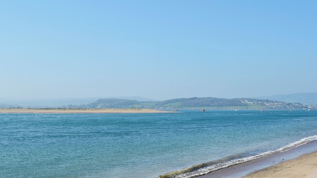 Photo of Others in Shaldon