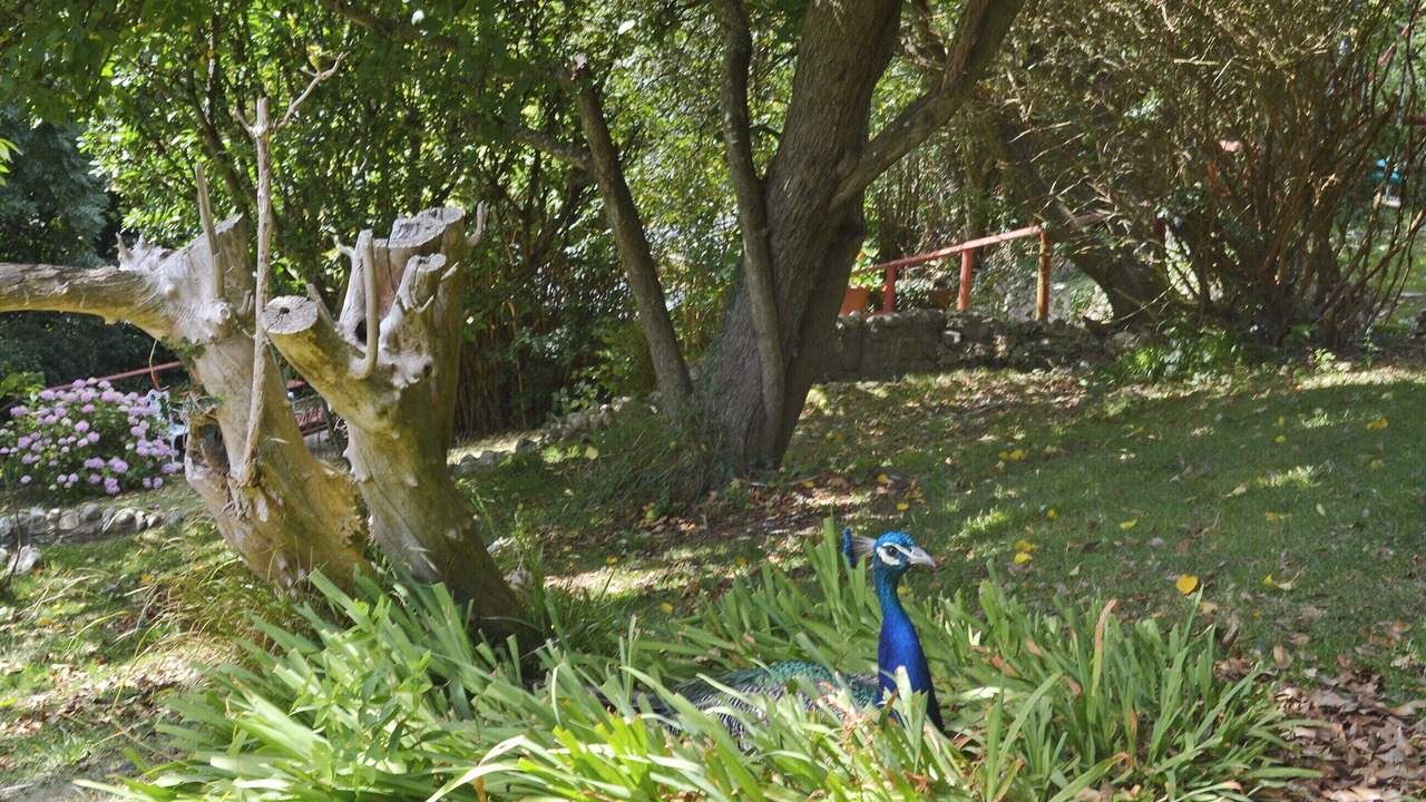 Photo of Others in St. Gennys