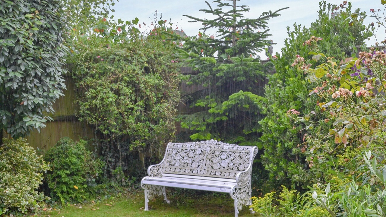 Photo of Outdoor in Holt