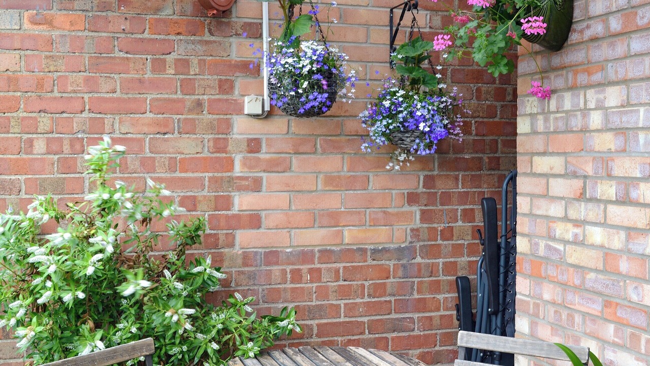 Photo of Others in Holt