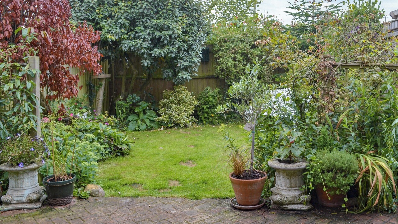 Photo of Outdoor in Holt