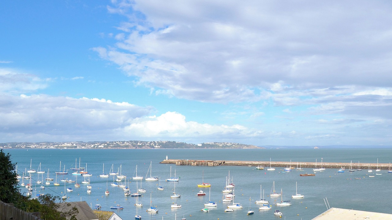 Photo of Others in Brixham