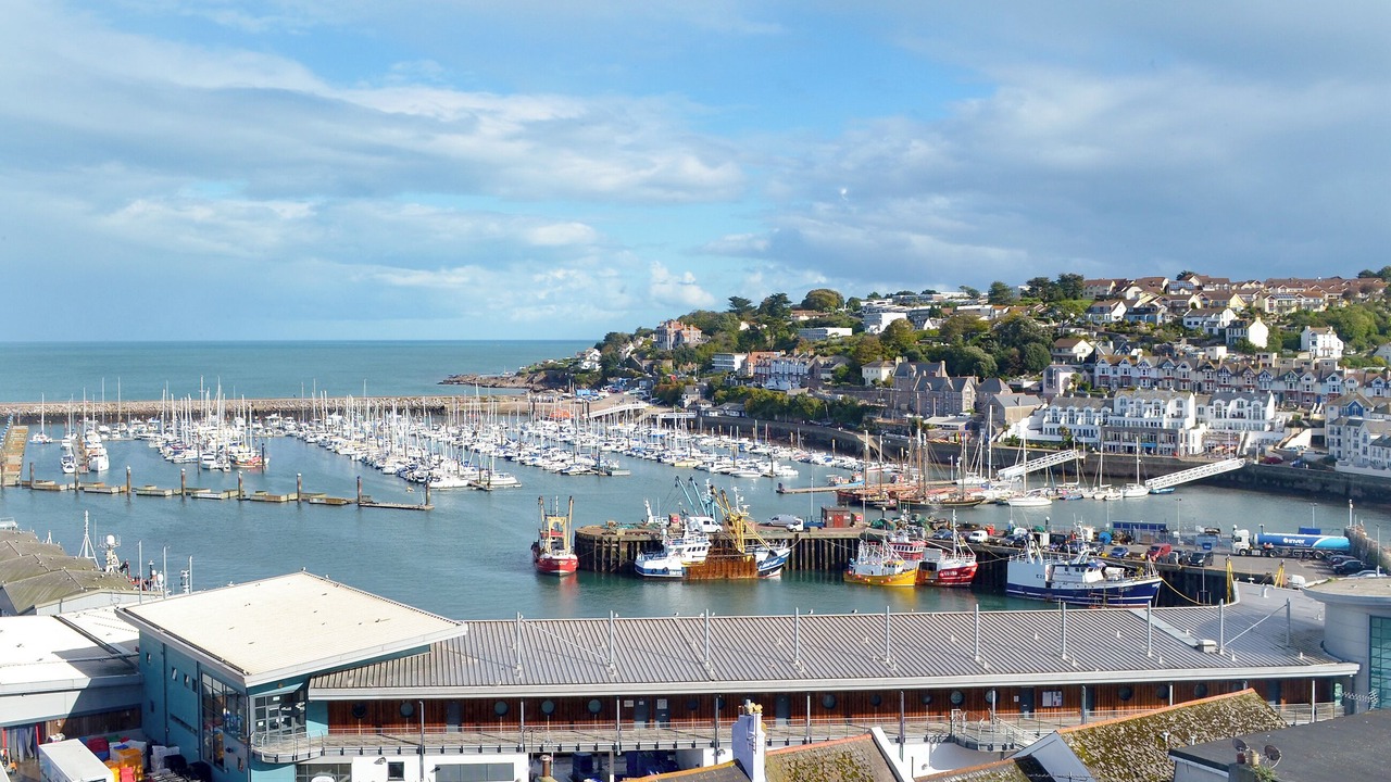 Photo of Others in Brixham