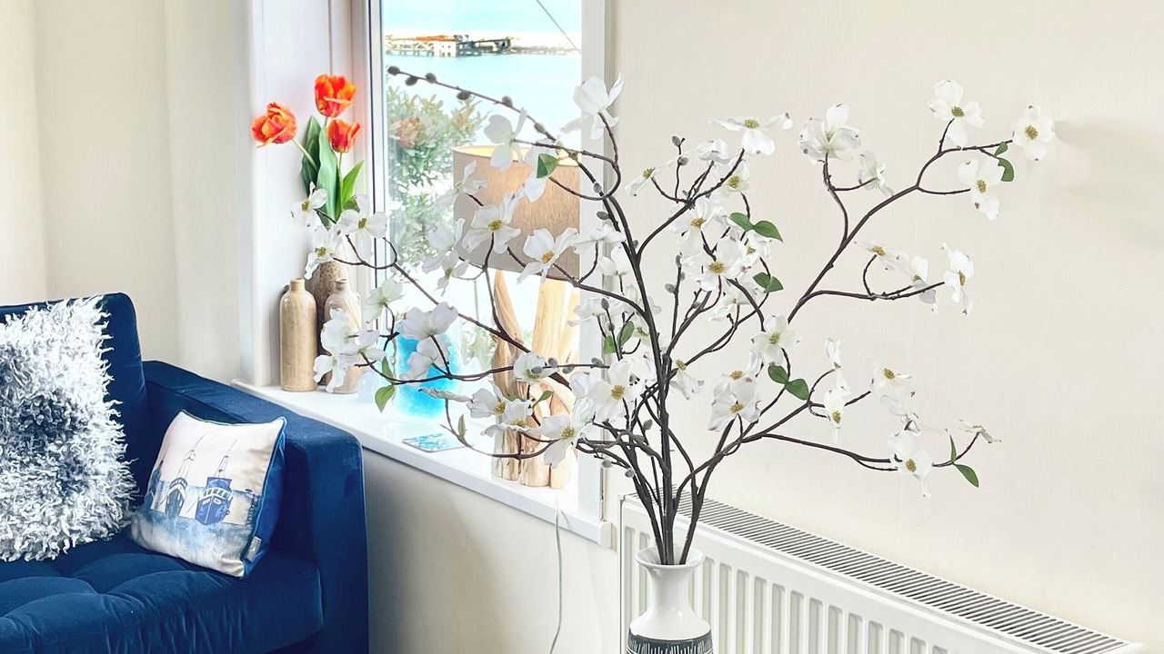 Photo of Others in Brixham