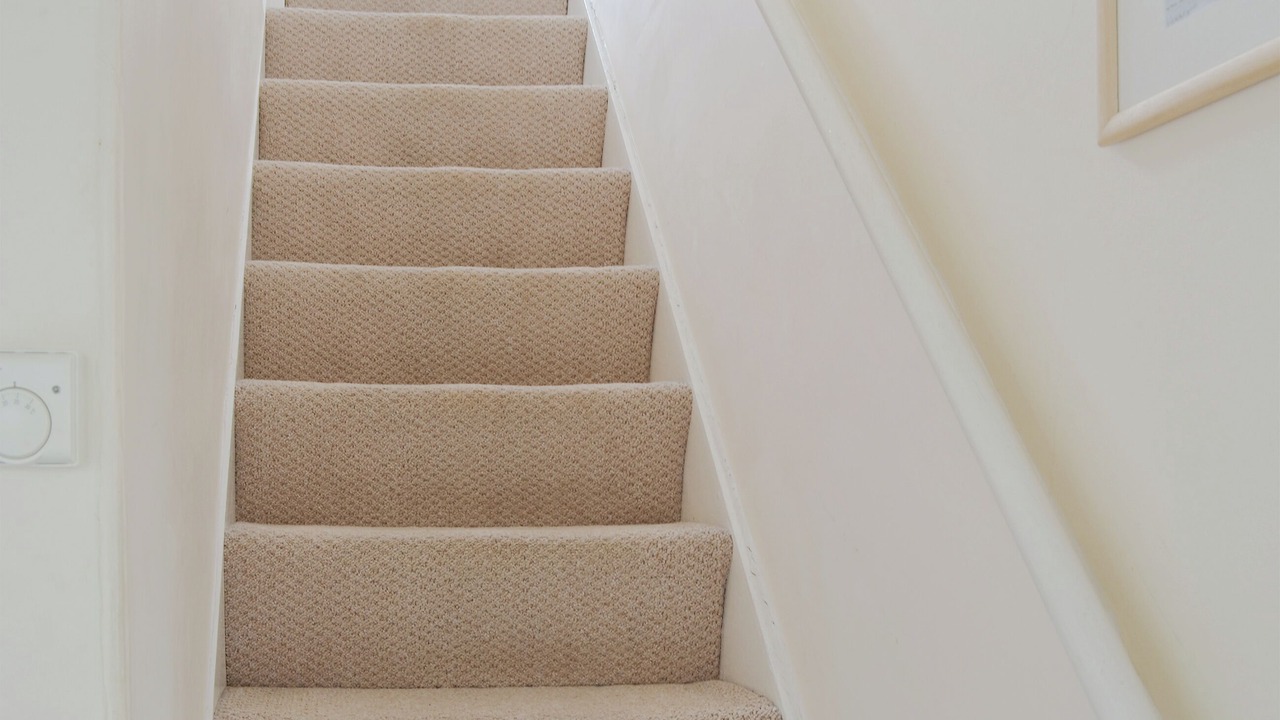 Photo of Others in Brixham