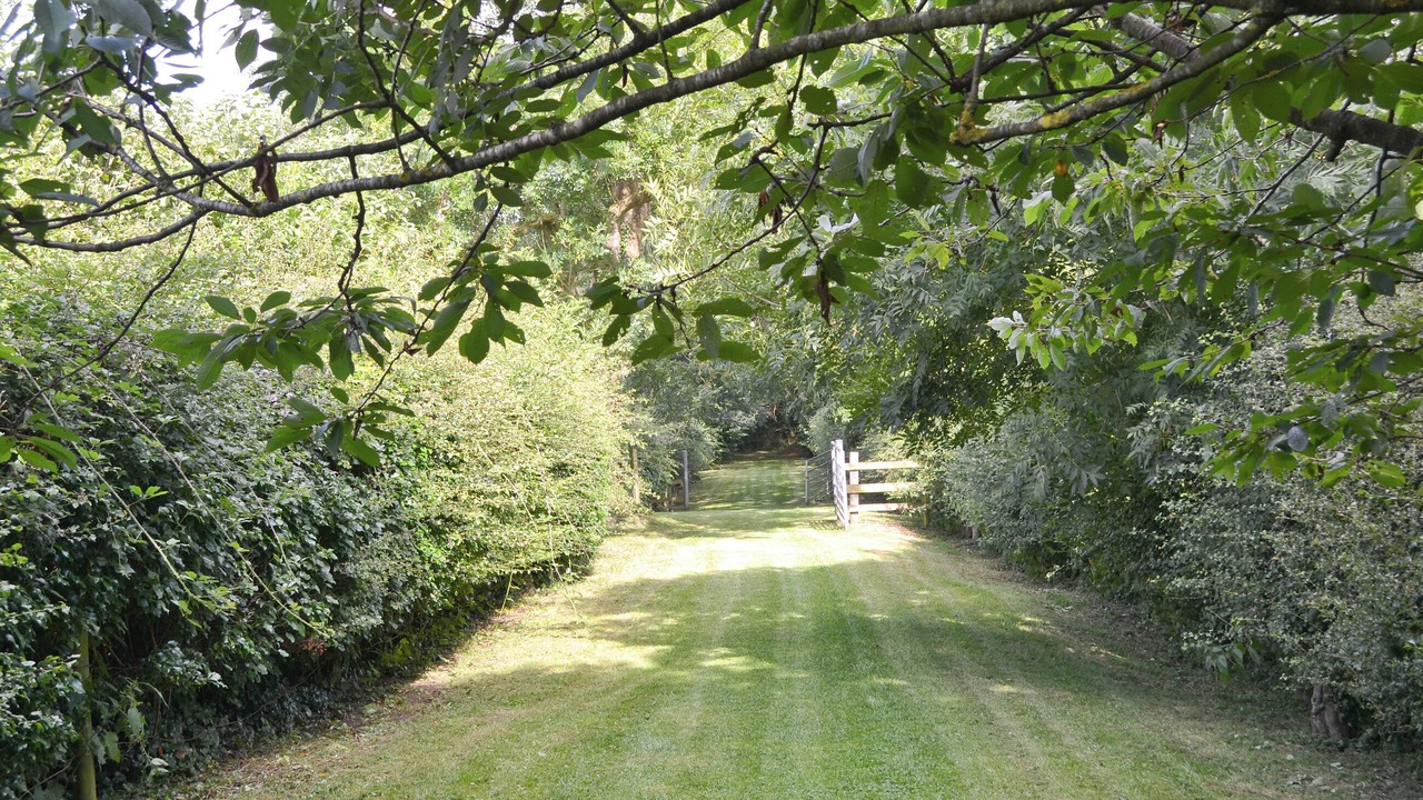 Photo of Outdoor in East Dereham