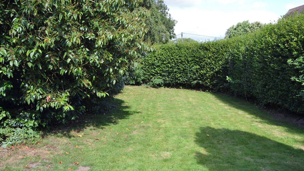 Photo of Outdoor in East Dereham