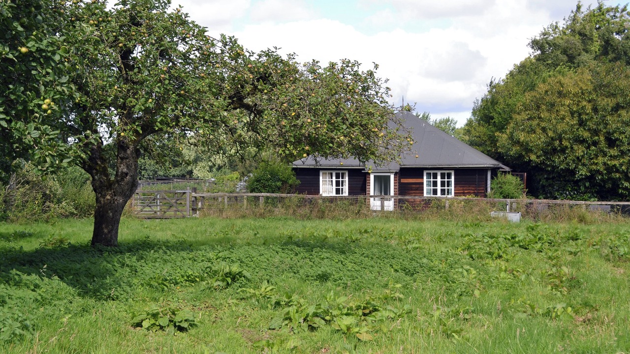 Photo of Others in East Dereham