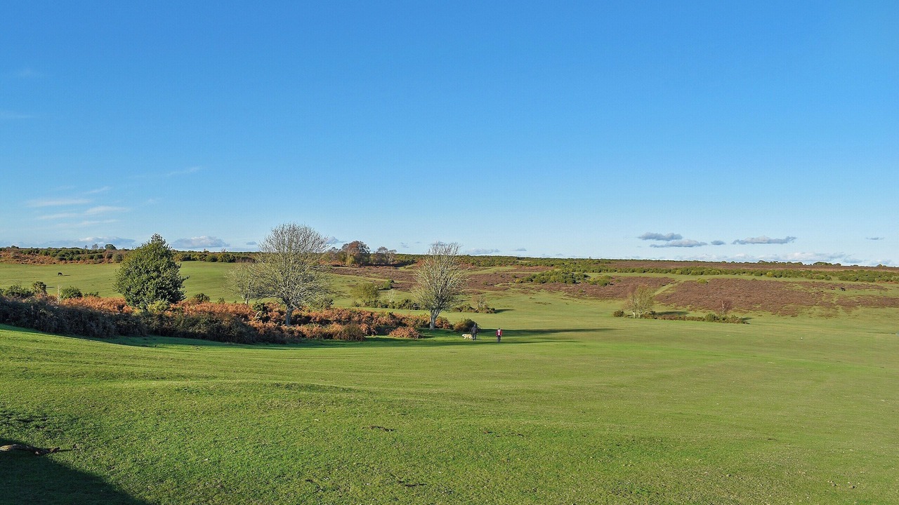 Photo of Others in Romsey