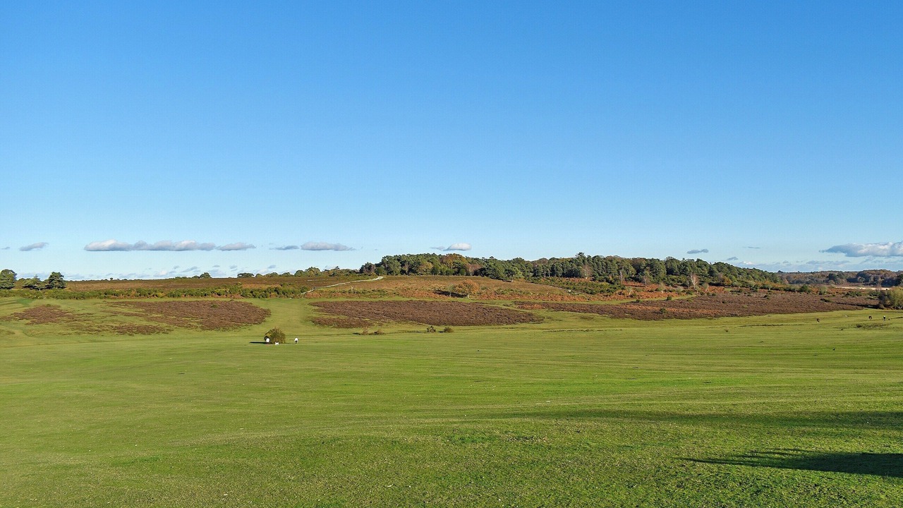 Photo of Others in Romsey