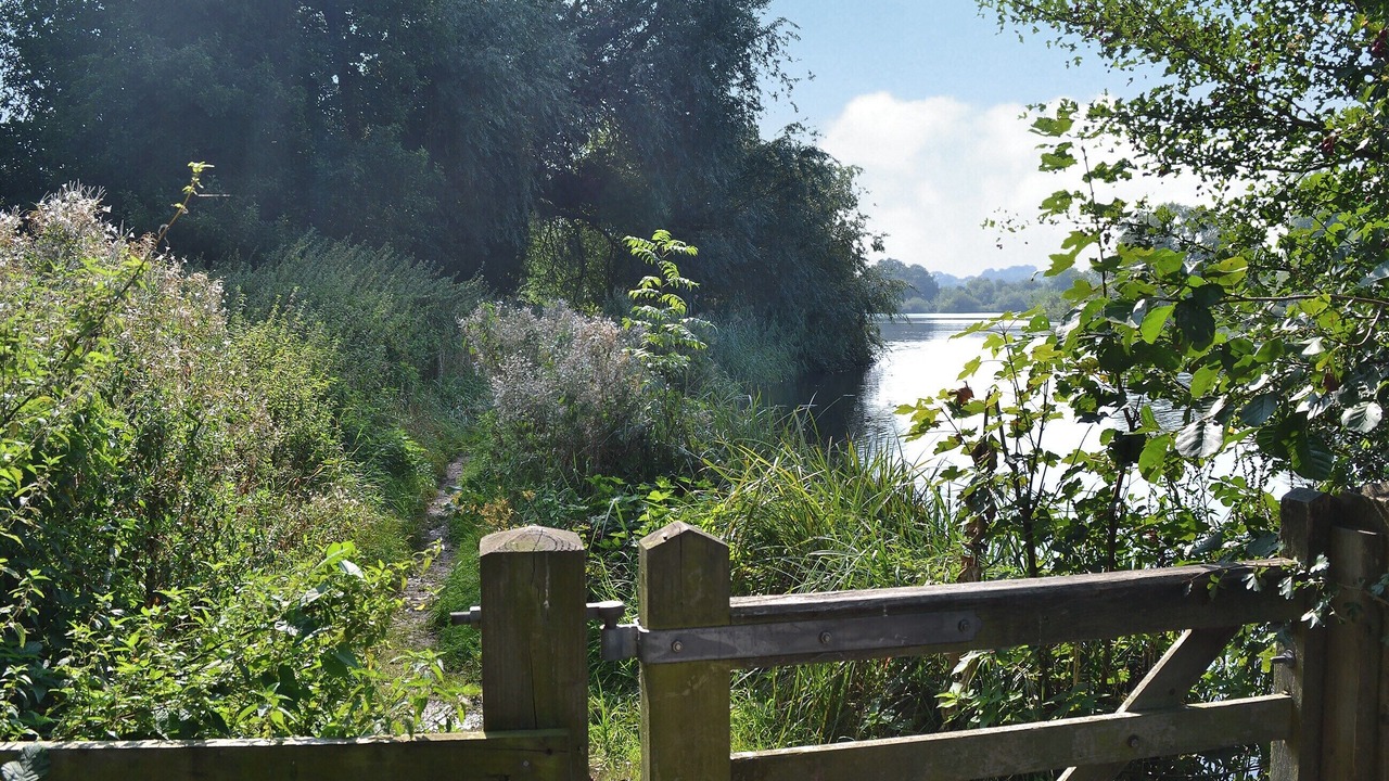 Photo of Others in Surlingham