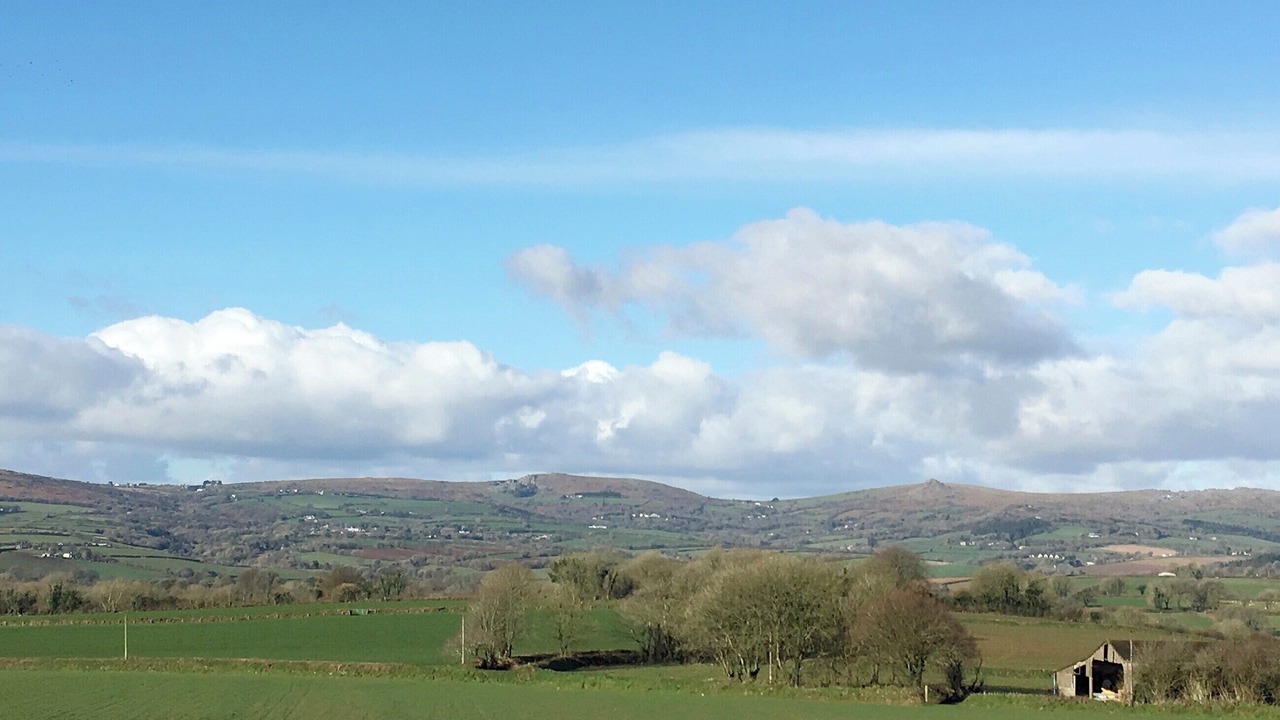 Photo of Others in Callington