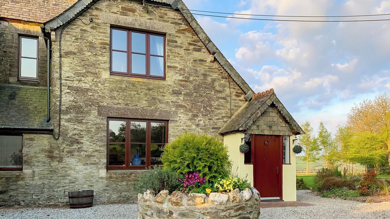 Photo of Others in Callington