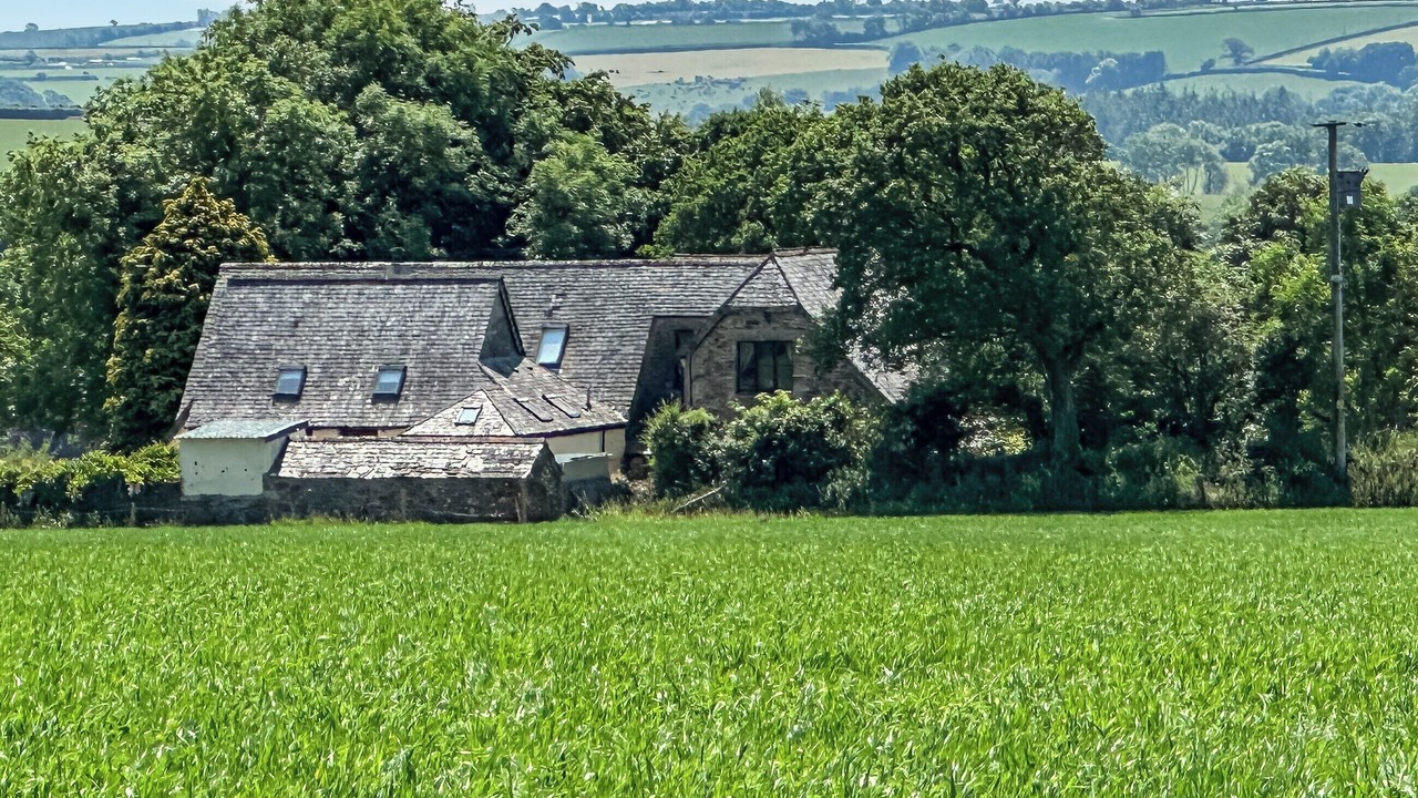 Photo of Others in Callington