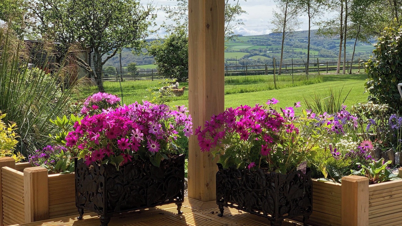 Photo of Others in Callington