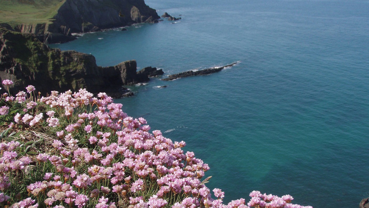 Photo of Others in Hartland