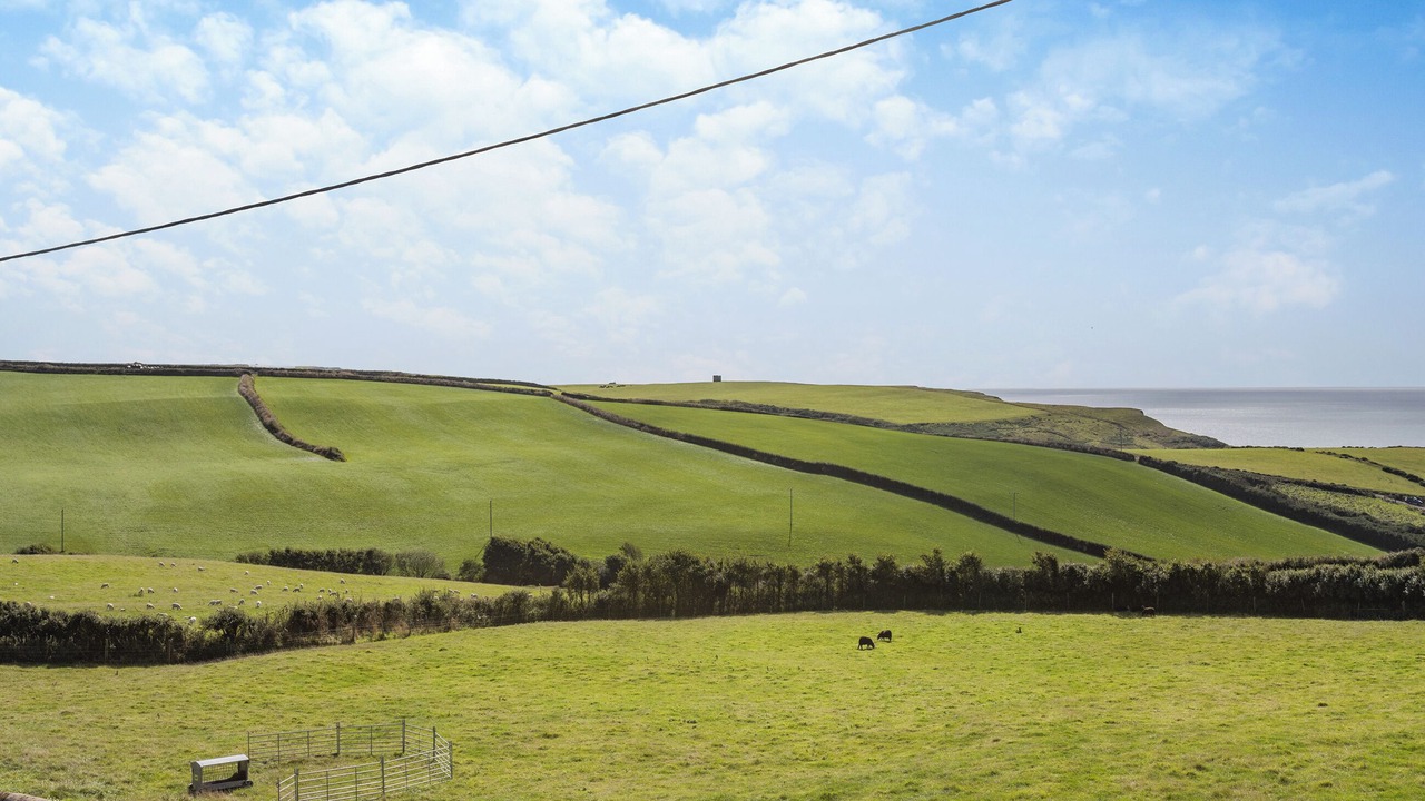 Photo of Others in Hartland